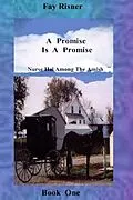E-Book (epub) A Promise Is A Promise (Nurse Hal Among The Amish, #1) von Fay Risner, Booksbyfay