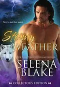 E-Book (epub) Stormy Weather Collector's Edition von Selena Blake