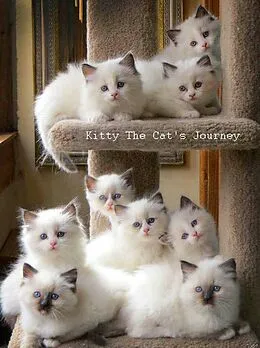 E-Book (epub) Kitty The Cat's Journey von Harini M