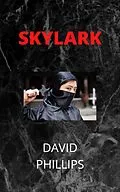 E-Book (epub) Skylark von David Phillips