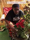 E-Book (epub) Two Weeks with T. Rodgers von Jai "OgMadam"
