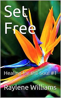 E-Book (epub) Set Free (Healing for the Soul, #1) von Raylene Williams