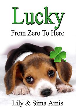 E-Book (epub) Lucky - From Zero to Hero von Lily Amis