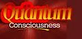E-Book (epub) Quantum Consciousness von Richard Potter