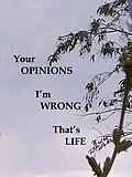 E-Book (epub) Your Opinions I'm Wrong That's Life von James Greene