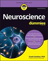 Kartonierter Einband Neuroscience For Dummies von Frank Amthor