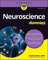 E-Book (epub) Neuroscience For Dummies von Frank Amthor