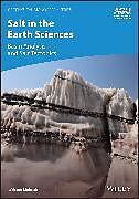 Livre Relié Salt in the Earth Sciences de Webster Mohriak