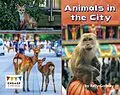 E-Book (pdf) Animals in the City von Kelly Gaffney