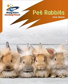 E-Book (epub) Reading Planet: Rocket Phonics Target Practice Pet Rabbits Orange von Anne Glennie