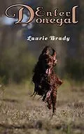 E-Book (epub) Enter Donegal von Laurie Brady