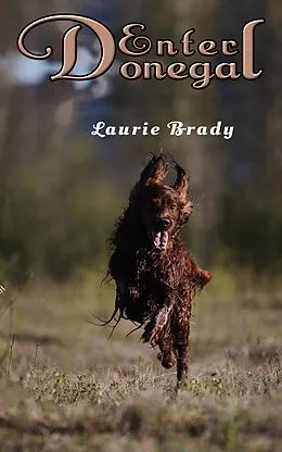 E-Book (epub) Enter Donegal von Laurie Brady