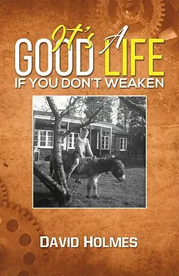 E-Book (epub) It's a Good Life If You Don't Weaken von David Holmes