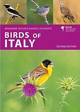 Kartonierter Einband Birds of Italy von Daniele Occhiato, Marianne Taylor