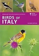 Kartonierter Einband Birds of Italy von Taylor Marianne, Daniele Occhiato