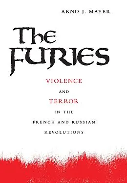 E-Book (epub) Furies von Arno J. Mayer