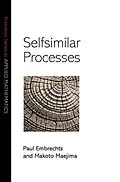 E-Book (epub) Selfsimilar Processes von Paul Embrechts