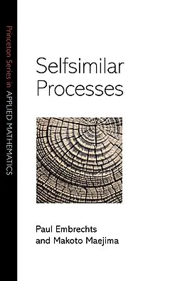 E-Book (epub) Selfsimilar Processes von Paul Embrechts
