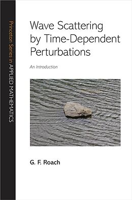 E-Book (pdf) Wave Scattering by Time-Dependent Perturbations von G. F. Roach