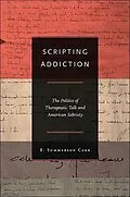 E-Book (epub) Scripting Addiction von E. Summerson Carr