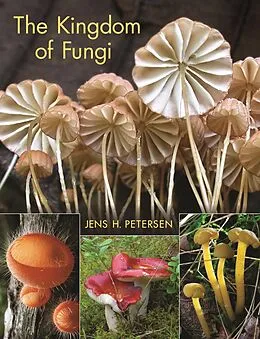 E-Book (pdf) Kingdom of Fungi von Jens H. Petersen