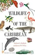E-Book (pdf) Wildlife of the Caribbean von Herbert A. Raffaele