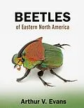 E-Book (pdf) Beetles of Eastern North America von Arthur V. Evans