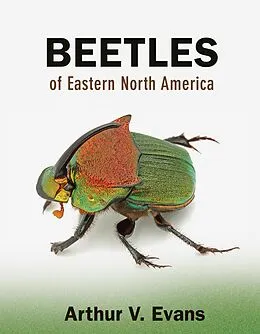 E-Book (pdf) Beetles of Eastern North America von Arthur V. Evans