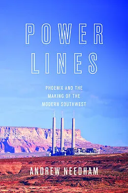 E-Book (epub) Power Lines von Andrew Needham