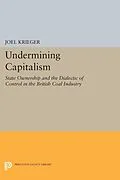 E-Book (pdf) Undermining Capitalism von Joel Krieger