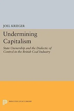 E-Book (pdf) Undermining Capitalism von Joel Krieger