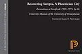 E-Book (pdf) Recovering Sarepta, A Phoenician City von 