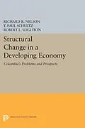 E-Book (pdf) Structural Change in a Developing Economy von Richard R. Nelson, T. Paul Schultz, Robert L. Slighton