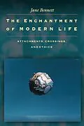 E-Book (epub) Enchantment of Modern Life von Jane Bennett