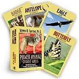 Textkarten / Symbolkarten Power Animals Oracle Cards von Farmer Steven
