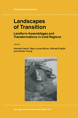 Fester Einband Landscapes of Transition von Maryann P. Feldman, Hewitt