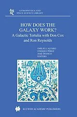 Fester Einband How does the Galaxy work? von