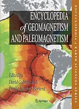 Fester Einband Encyclopedia of Geomagnetism and Paleomagnetism von David Gubbins
