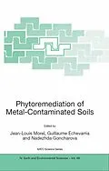 E-Book (pdf) Phytoremediation of Metal-Contaminated Soils von Jean-Louis Morel, Guillaume Echevarria, Nadezhda Goncharova