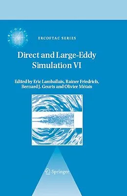 E-Book (pdf) Direct and Large-Eddy Simulation VI von Eric Lamballais, Rainer Friedrich, Bernard J. Geurts