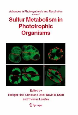 E-Book (pdf) Sulfur Metabolism in Phototrophic Organisms von Rüdiger Hell, Christiane Dahl, David Knaff