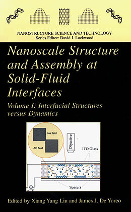 Fester Einband Nanoscale Structure and Assembly at Solid-Fluid Interfaces von 