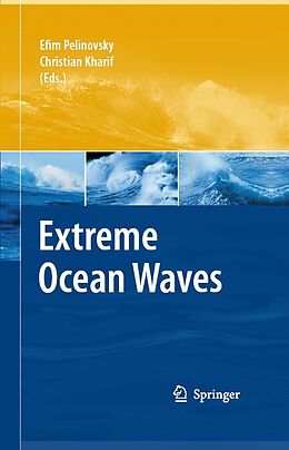 eBook (pdf) Extreme Ocean Waves de Efim Pelinovsky, Christian Kharif