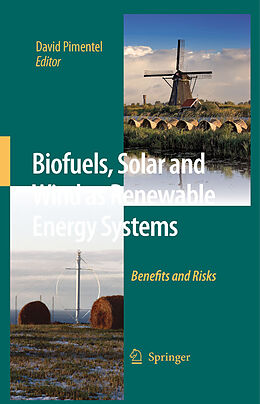 eBook (pdf) Biofuels, Solar and Wind as Renewable Energy Systems de David Pimentel