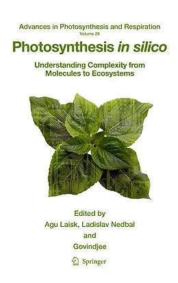 E-Book (pdf) Photosynthesis in silico von Govindjee, Agu Laisk, Ladislav Nedbal
