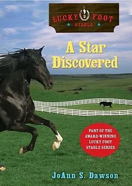 E-Book (epub) Star Discovered von JoAnn Dawson