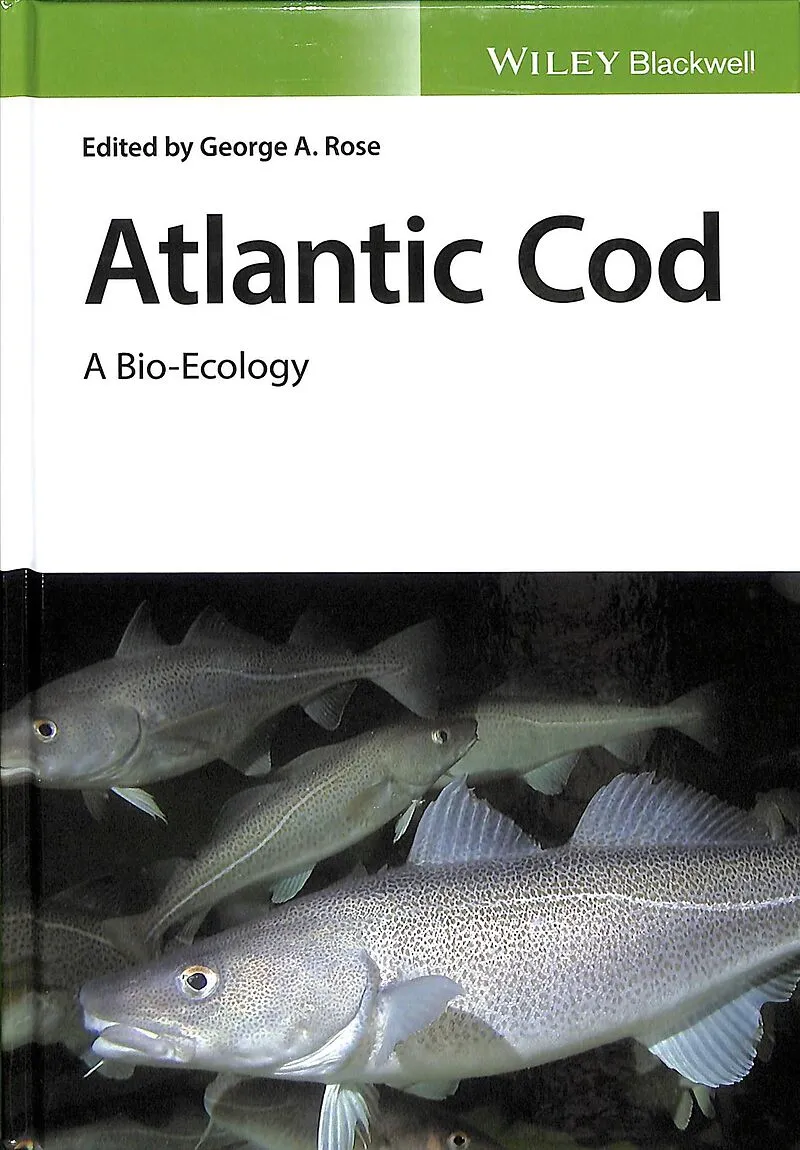 Atlantic Cod