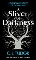E-Book (epub) A Sliver of Darkness von C. J. Tudor