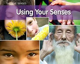 E-Book (pdf) Using Your Senses von Rebecca Rissman