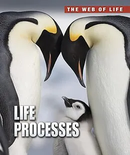 E-Book (pdf) Life Processes von Anna Claybourne